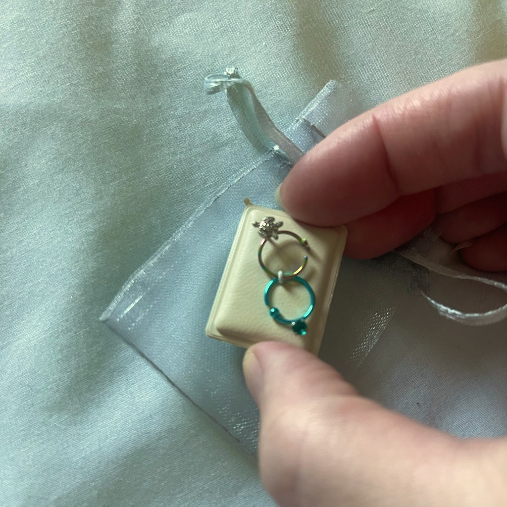 Nwts Set Of Nose Ring Hoops  Studs